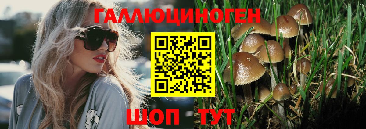 даркнет сайт  Галлюциногенные грибы мицелий  Грозный  Вход с VPN  Псилоцибиновые грибы GOLDEN TEACHER 